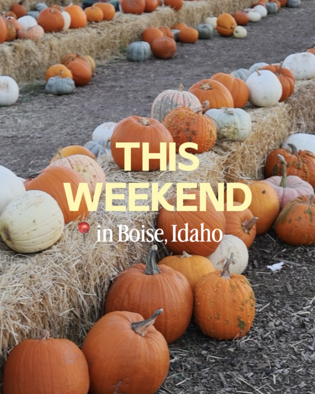 Things to do in Boise this weekend: October 23 to 26