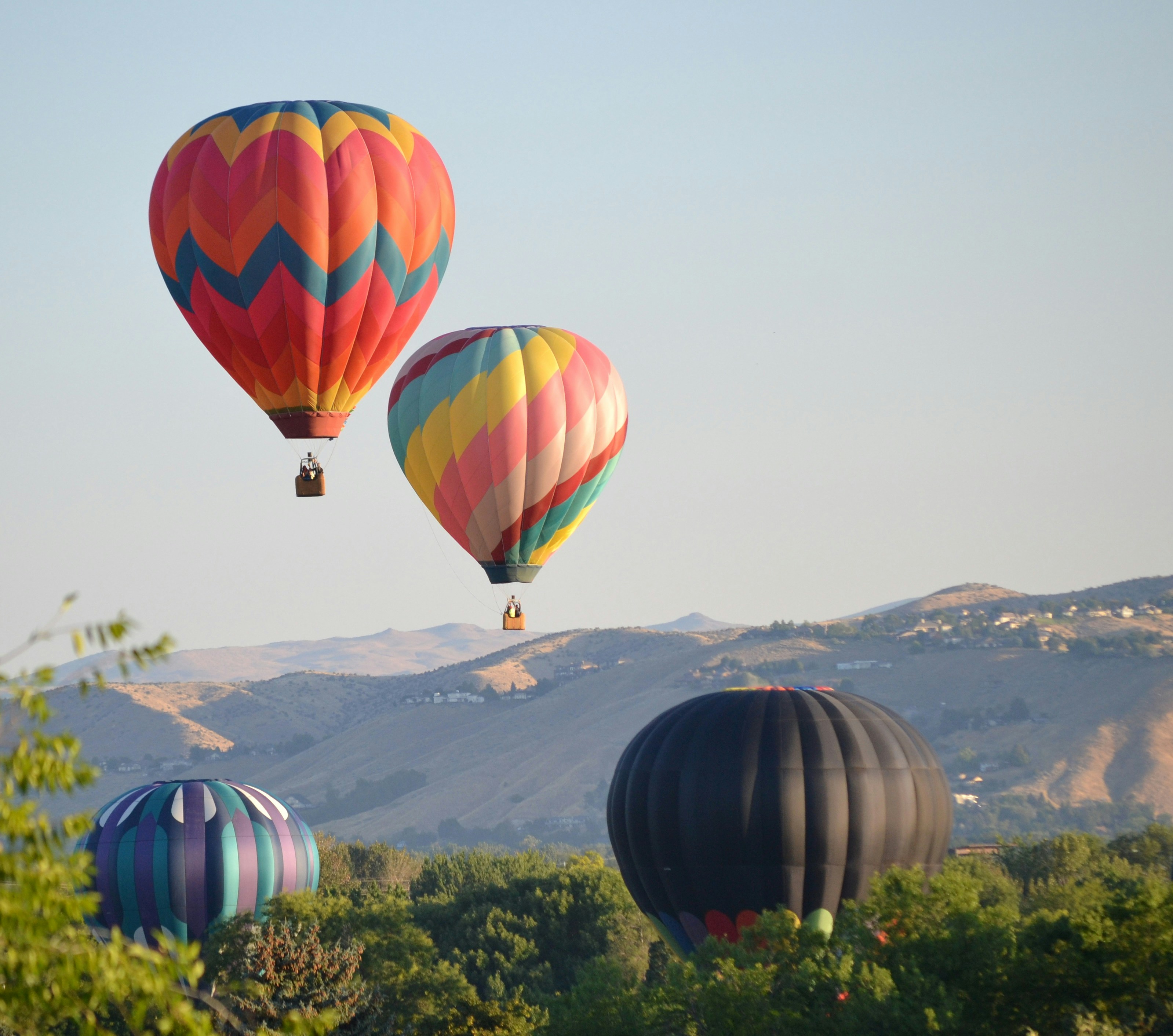 Hot air balloons launching over Ann Morrison Park during the Spirit of Boise Balloon Classic in Boise, Idaho